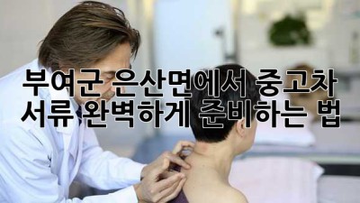 부여군 은산면에서 중고차 서류, 완벽하게 준비하는 법 🚗💨